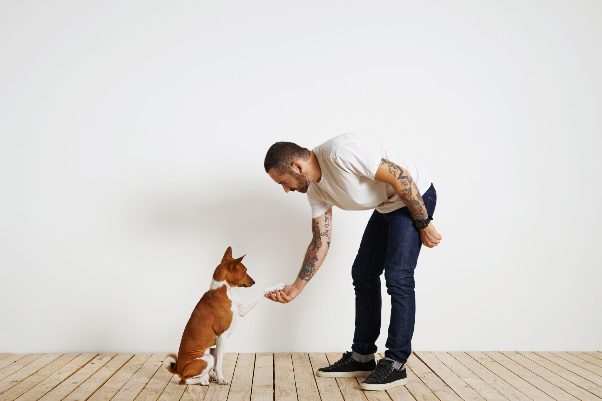 Dog Obedience Class
