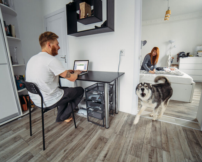 dog behaviour problems dog behaviour problems