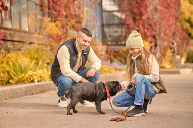 Using Positive Reinforcement Effectively to Train Your Dog Positive Reinforcement