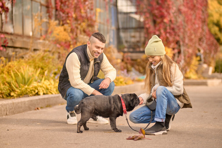 Positive Reinforcement