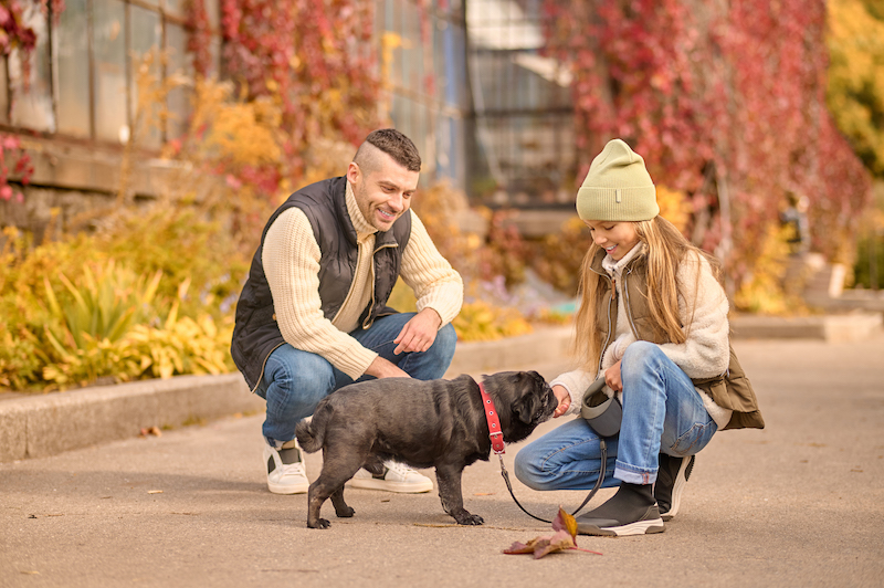 Using Positive Reinforcement Effectively To Train Your Dog Using Positive Reinforcement Effectively To Train Your Dog