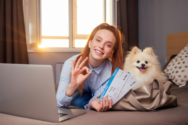 How to Prepare Your Dog for Air Travel Air Travel