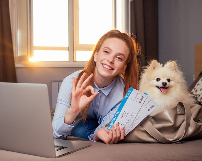 How to Prepare Your Dog for Air Travel Air Travel