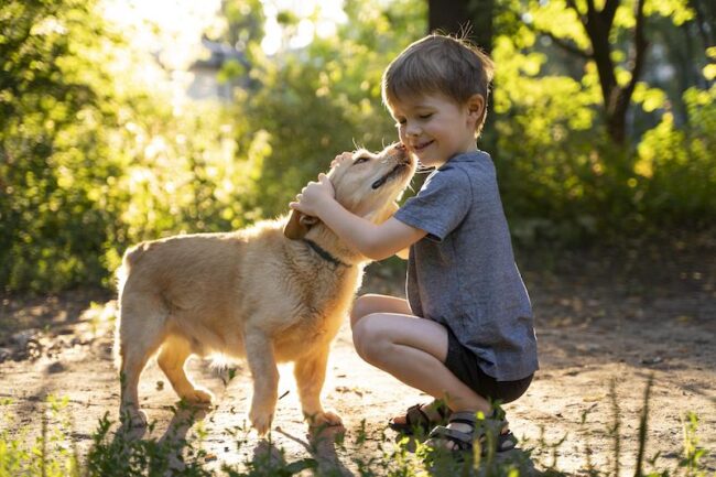 Train your dog to respect children respect children