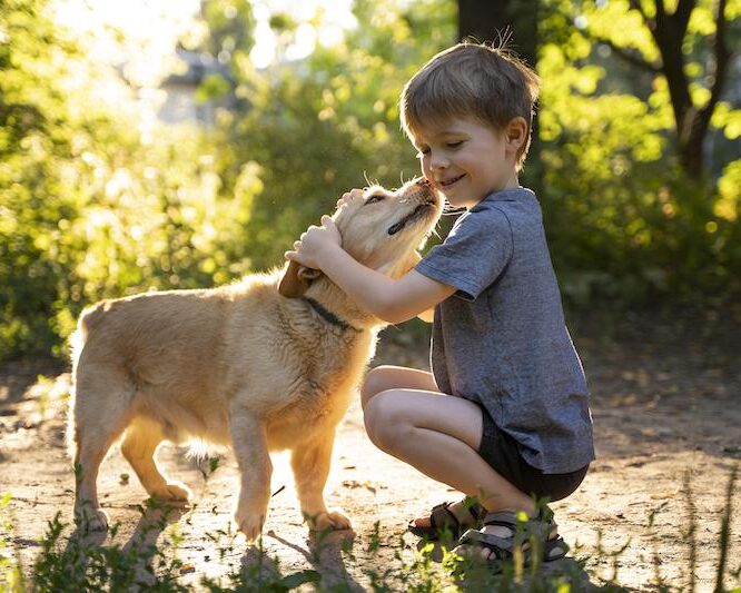 Train your dog to respect children respect children